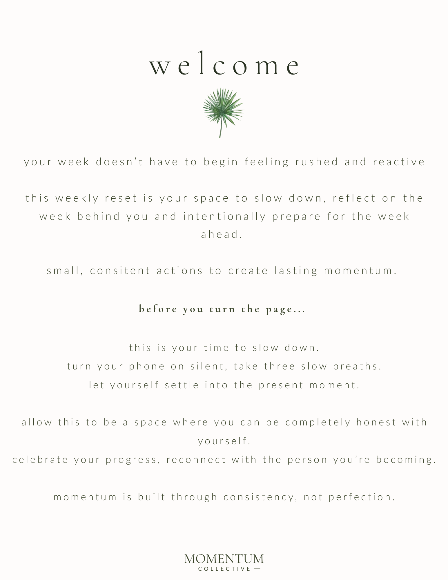 The Weekly Reset Journal